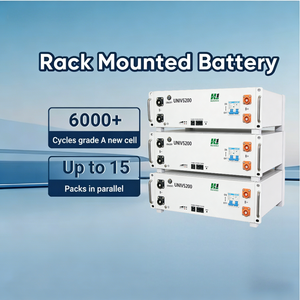 Batterie lithium 51,2 V 100 Ah pour montage en rack, stockage d'énergie solaire 5,12 kWh - Product Image 6