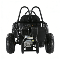 Vente directe usine : Kart de course électrique tout-terrain UTV Buggy à démarrage facile, frein à disque, transmission 4x4, moteur 4 temps pour l'extérieur