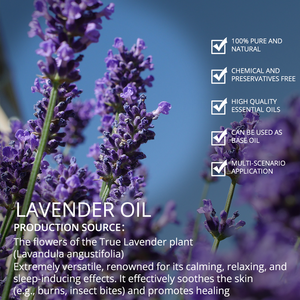 Factory Wholesale Bulk Free Sample Lavender Essential <b>Oil</b> Private Label Pure Natural Organic Top Quality Lavender <b>Oil</b> for Hair - Product Image 2