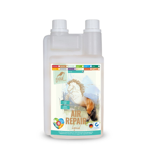 Air Repair - Product Image 1