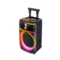 Altavoz de Karaoke Portátil con Ruedas de 12 Pulgadas para Fiestas Privadas, Máquina de Karaoke Inalámbrica de 60w con Ruedas