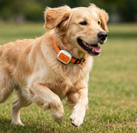 Collier GPS pour chien à très faible consommation d'énergie avec une autonomie de 25 jours et un mode veille d'un mois