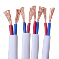 Câble parallèle flexible gainé de cuivre toronné PVC RVVB 2*1.5/2.5 mm respectueux de l'environnement pour applications d'ingénierie