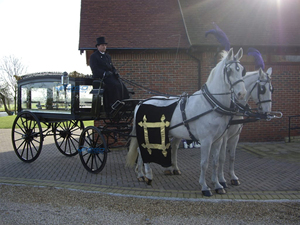 Cercueil funéraire tiré par des chevaux, transport spécial, vente directe d'usine, calèche funéraire tirée par des chevaux - Product Image 5