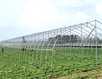 Serre agricole double couche à simple travée, grande taille, prix de gros abordable, tunnel en polyéthylène 3060 mm pour la culture de légumes