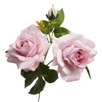 Rose artificielle de haute qualité au toucher réel, aspect hydratant, pour décoration intérieure, salon, accessoires de photographie de mariage