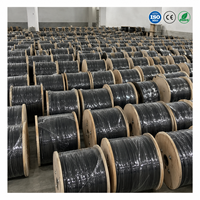 Câble de branchement extérieur UKCC FTTH 1, 2 ou 4 fibres GJYXCH pour l'accès au dernier kilomètre