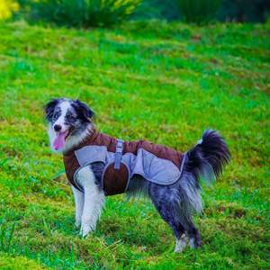 Traje de recuperación quirúrgica <span class=keywords><strong>para</strong></span> perros con estampado adorable, cómodo y anti-lamido, <span class=keywords><strong>para</strong></span> después de la esterilización. - Product Image 6