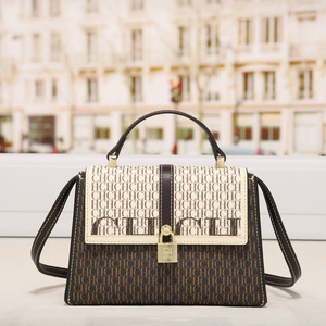 Sac à bandoulière élégant pour femmes, nouvelle marque célèbre, style de créateur de luxe, sac à main tendance pour le shopping et les voyages - Product Image 1