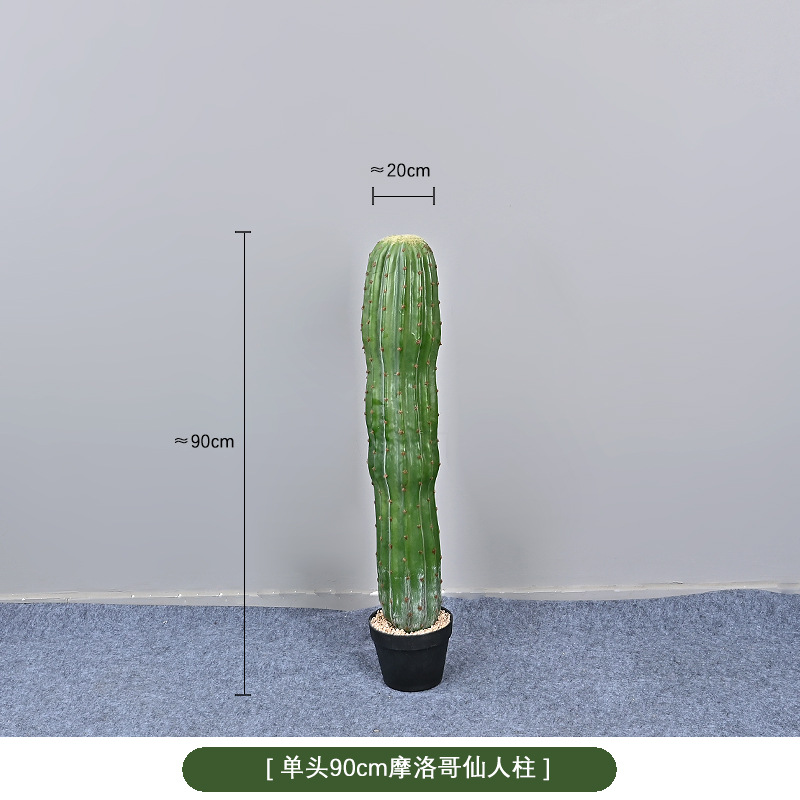 90cm sola cabeza marroqui columna inmortal