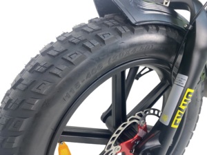 Bicicleta de Montaña Personalizada QUEENE de 20 Pulgadas con Neumáticos Gruesos, Motor Trasero de Aluminio con Suspensión Completa, 20Ah - Product Image 6