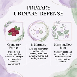 Venta al por mayor OEM: Masticables blandos para <span class=keywords><strong>el</strong></span> tracto urinario de mascotas con arándano y D-Manosa para perros y gatos, soporte para la vejiga, proveedor de marca privada personalizada. - Product Image 3