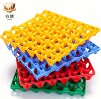 Plateaux à œufs en plastique épaissi résistants aux chocs, plateaux de rangement pour œufs de réfrigérateur familial, boîtes carrées en plastique pour œufs de canard