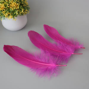 All'ingrosso alla rinfusa 14-20CM tinti piume naturali d'oca per la decorazione della festa nuziale artigianato fatto da te - Product Image 4