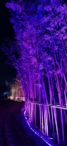 Dyed Led <b>Tree</b> <b>Lights</b> Ip65 Waterproof Decorative Park And Garden Lighting For Christmas And Festival Events - Product Image 1