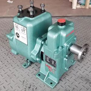 Bomba de Agua de Vacío Weilong QZB para Camión de Riego, Bomba de Motor Diésel para Reequipamiento WLQZB60 80QZB60 90V - Product Image 3