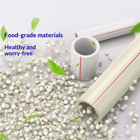 Vente en gros de tuyaux en polypropylène de haute qualité, toutes couleurs, tube en plastique PPR, tuyau d'eau PN 20 pour la plomberie domestique