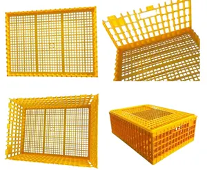 Durable coop Professional bird adult chicken transport crate with CE certificate poultry cage quail