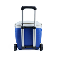 Table de pique-nique moderne 2-en-1 avec couvercle |   Glacière isotherme portable 36L et table de plage pour la pêche, le camping, les barbecues et les canettes
