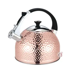 Realwin High quality stainless steel whistling kettle tea pot hot water kettle