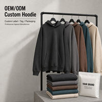 Sweat à capuche pour homme en coton doux, impression graphique personnalisée OEM, fabrication professionnelle, pour un usage décontracté