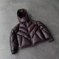 Veste doudoune matelassée coupe-vent à capuche, personnalisée OEM, imprimée à l'encre thermochromique, style streetwear vintage, épaisse, à changement de couleur pour l'hiver