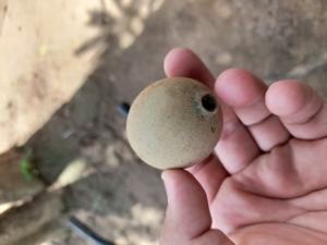 Proveedor Peruano de Primera Calidad de Polvo de Huito Liofilizado, Polvo de Genipa Americana Liofilizado de Calidad Premium - Product Image 5