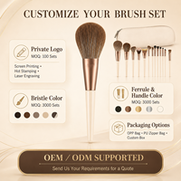 Ensemble de 12 pinceaux cosmétiques portables pour le visage, pour poudre, fond de teint, blush, contour, crayon à sourcils, trousse de maquillage, poils synthétiques