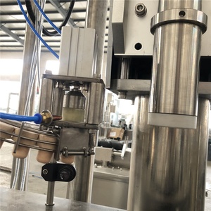 Machine de bouchage et de capsulage automatique pour bouchons en T - Product Image 6