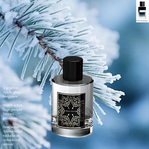 Aroma Unisex Atemporal - Opciones de 100ml/50ml, Fragancia Fougere, Ecológica, Duradera, Orgánica, Natural para Oración, Uso Diario, Modesto - Product Image 2