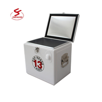 Glacière isolée en acier inoxydable 15L seau à glace extérieur et bacs à boissons