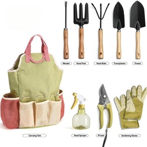 10 Pcs <b>Garden</b> <b>Tools</b> Set Complete Gardening Supplies Kit Carbon Steel Hand Trowel Rake Pruner Weeder with Gloves <b>Storage</b> Bag - Product Image 3