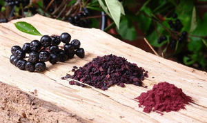 Poudre d'extrait de fruit de Chokeberry <span class=keywords><strong>noir</strong></span> de Longze poudre d'<span class=keywords><strong>aronia</strong></span> poudre d'<span class=keywords><strong>aronia</strong></span> - Product Image 6