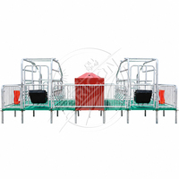 Nouvelle cage de mise bas Agricon en acier galvanisé à chaud de type H, modèle double face, capacité de 24 porcelets, longue