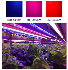 Led Cob Chip 10W 20W 30W 50W 70W 100W Vierkant Koperen Frame Natuurlijk Warm Wit Highlight Geïntegreerde Kralen