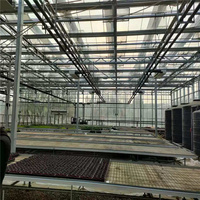 Venlo type polycarbonaat plaat voor kassen