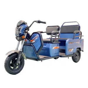 Unfolded Tricycle Bike 650W Motor Electric Cargo Trikes