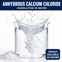 Chlorure de calcium anhydre en poudre, haute pureté, qualité industrielle, produit chimique