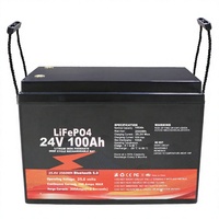 Batería de Litio de 24V 100Ah LiFePO4 de Ciclo Profundo para Almacenamiento de Energía Solar para Sistemas Fuera de la Red