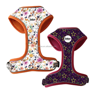 <span class=keywords><strong>Harnais</strong></span> pour <span class=keywords><strong>chien</strong></span> Petkaa pour Teckel, design personnalisé, logo PVC <span class=keywords><strong>avec</strong></span> <span class=keywords><strong>nom</strong></span> de marque, <span class=keywords><strong>harnais</strong></span> réglable, bandes réfléchissantes, OEM ODM - Product Image 1