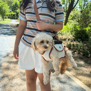 Portable Breathable Dog Harness <b>Backpack</b> For <b>Small</b> Dogs With Leash And Handle Outdoor Walking Gear - Product Image 2