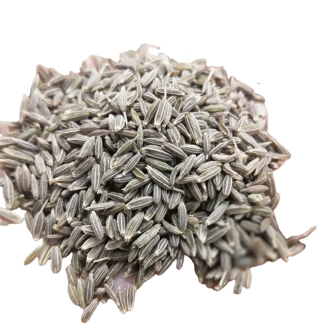 Gxww Trung Quốc nhà máy Bán buôn giá rẻ New Crop khô Cumin thảo mộc duy nhất và gia vị khô Cumin hạt giống Cumin hạt giống