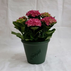 <span class=keywords><strong>Pot</strong></span> de fleurs <span class=keywords><strong>en</strong></span> plastique à motif romain <span class=keywords><strong>en</strong></span> relief, deux tailles, design moderne, similaire à la terre cuite, pour plantes succulentes et vanillées, <span class=keywords><strong>pot</strong></span> de jardin <span class=keywords><strong>en</strong></span> plastique - Product Image 2