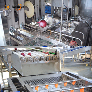 Máquina de corte de cebolla con control PLC, cortadora de cebolla, máquina de corte de raíces de cebolla, picadora de cebolla y ajo, línea de corte de cebolla amarilla IQF - Product Image 3