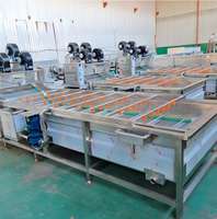 Industriële multifunctionele belletjeswasmachine voor de verwerking van groenten en maïs, voedselveilige roestvrij staal