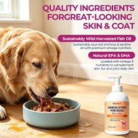 Huile de poisson liquide Omega 3 pour chiens en gros d'usine – Supplément à pompe pour le soutien quotidien des articulations, du cœur, de la cognition, de la peau et du pelage (EPA, DHA)