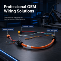 Harness Kabel 3/4/5 AWG untuk Inverter Fotovoltaik untuk Aplikasi Penyimpanan Energi  Harness Kabel Kustom OEM Tahan Air 10269