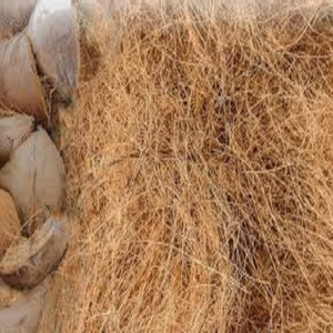 Fibre de noix de coco naturelle de haute qualité pour matelas brosses cordes tapis de culture paillis fibre de coco vente en gros de l'Inde - Product Image 1