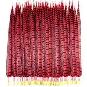 Vente en gros de plumes de faisan Lady Amherst artificielles teintées 24 pouces pour Noël/plumes de carnaval/chapeaux/robes/vêtements/fabrication de bricolage - Product Image 5