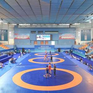 Alfombrillas DE LUCHA <span class=keywords><strong>UWW</strong></span> personalizadas de fábrica, cubierta de PVC, alfombrillas de lucha estándar de espuma XPe - Product Image 2